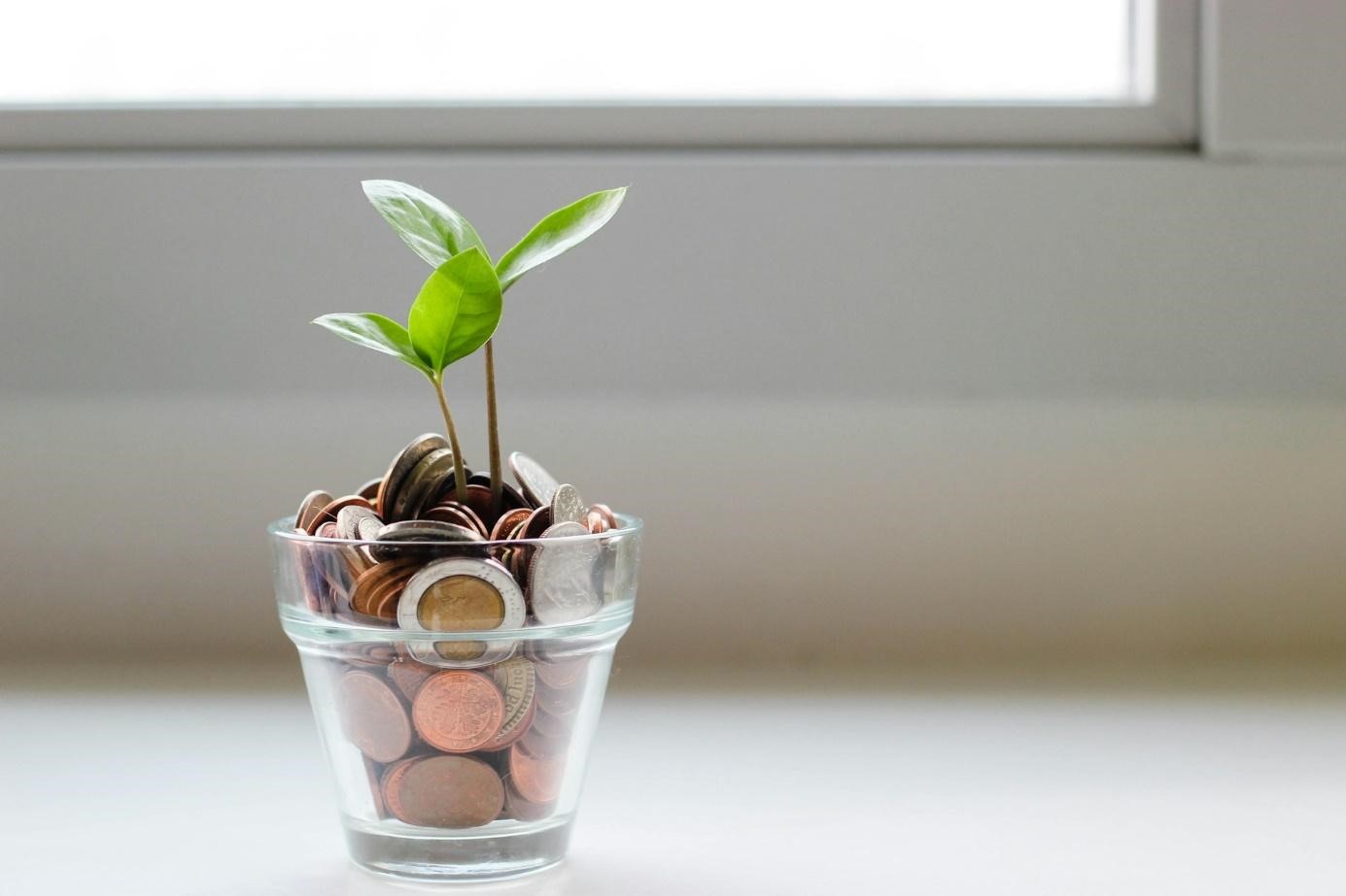 3 andere manieren dan crypto om je geld te laten groeien